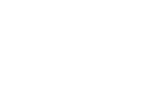 Salesforce Partner